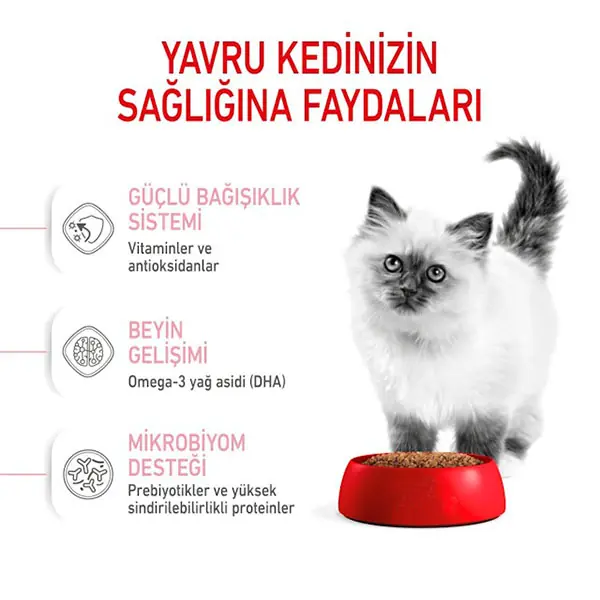 Royal Canin Kitten Yavru Kedi Maması 2 Kg