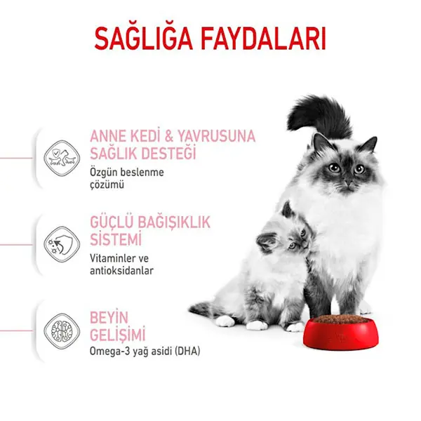 Royal Canin Mother Babycat Yavru Kedi Maması 2 Kg