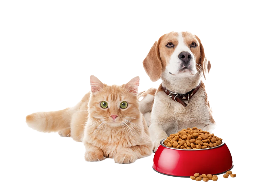 Yöresel Kahvaltıyla Yöresel Tatlar